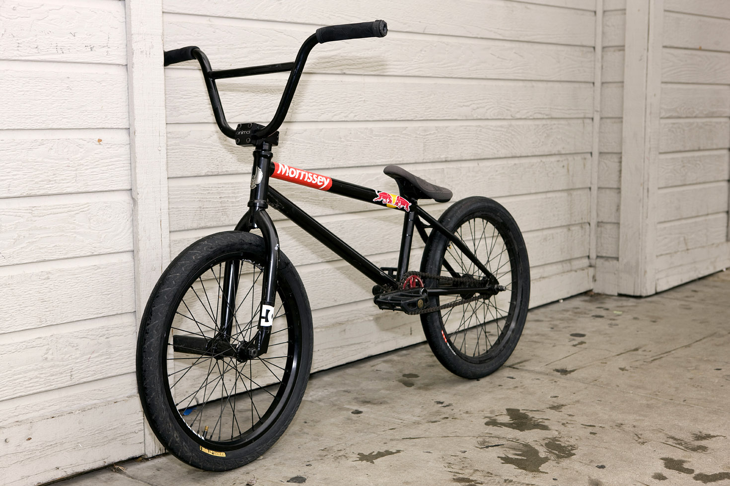 edwin_bike03.jpg