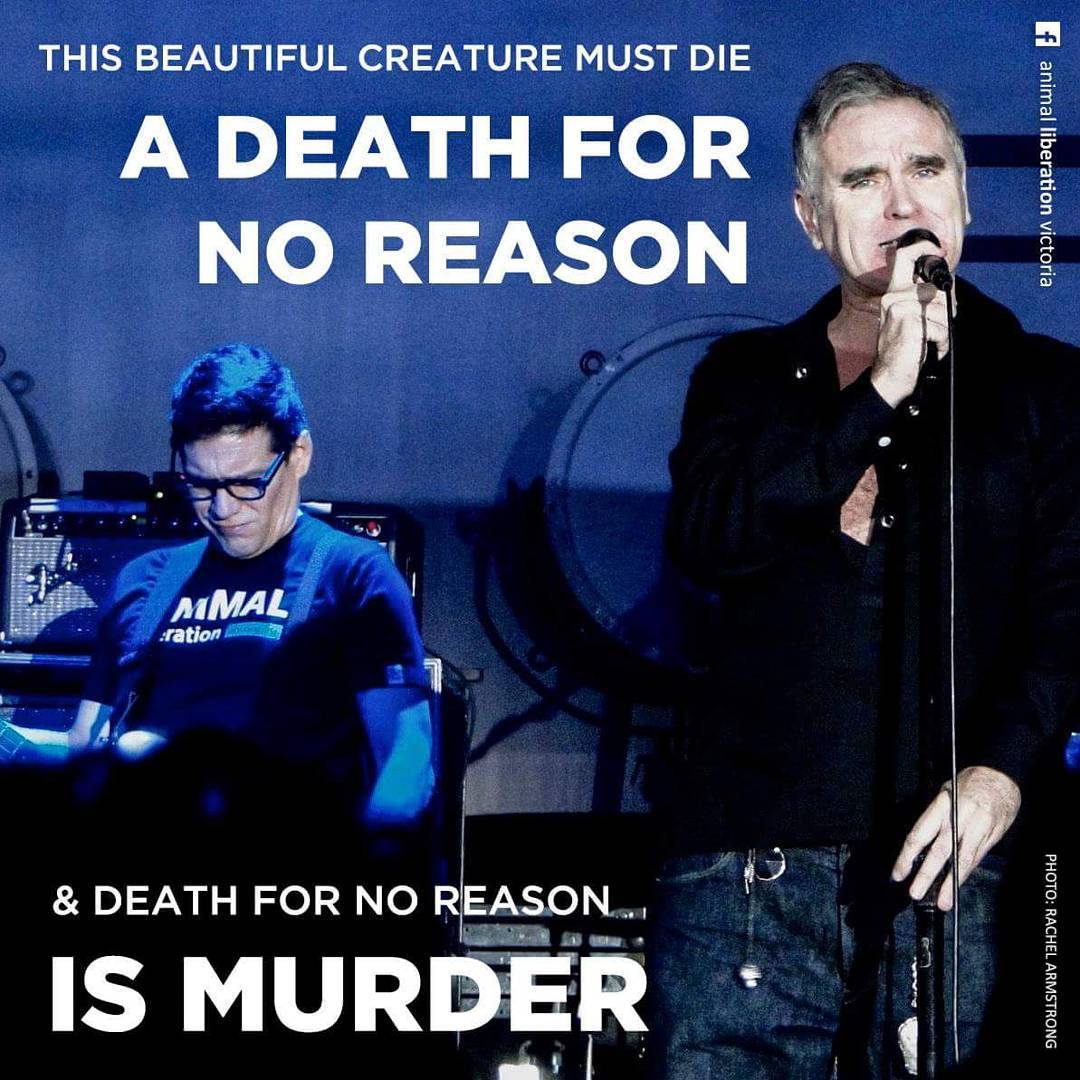 /proxy.php?image=http%3A%2F%2Fc.morrissey-solo.com%2Fdata%2Fattachment-files%2F2016%2F10%2F39293_adelaide_animal_liberation.jpg&hash=b09fadf5ac9975f8546280cbeb76203f